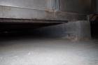 Babbco Direct Fired Tunnel Oven